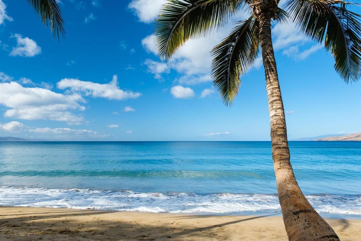 Newly Remodeled Luxury Condo — Sleeps 7 Kihei Zewnętrze zdjęcie